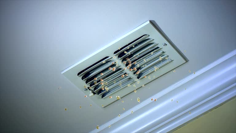 Best Home Air Vent Cleaning  in Carrington, ND